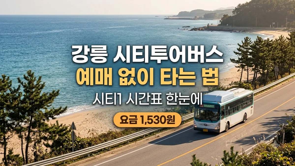 강릉 시티투어버스 시티1 예매 없이 타는 법